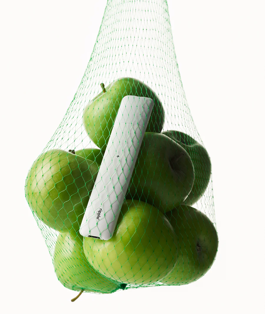 APPLE LUXE - Image 5