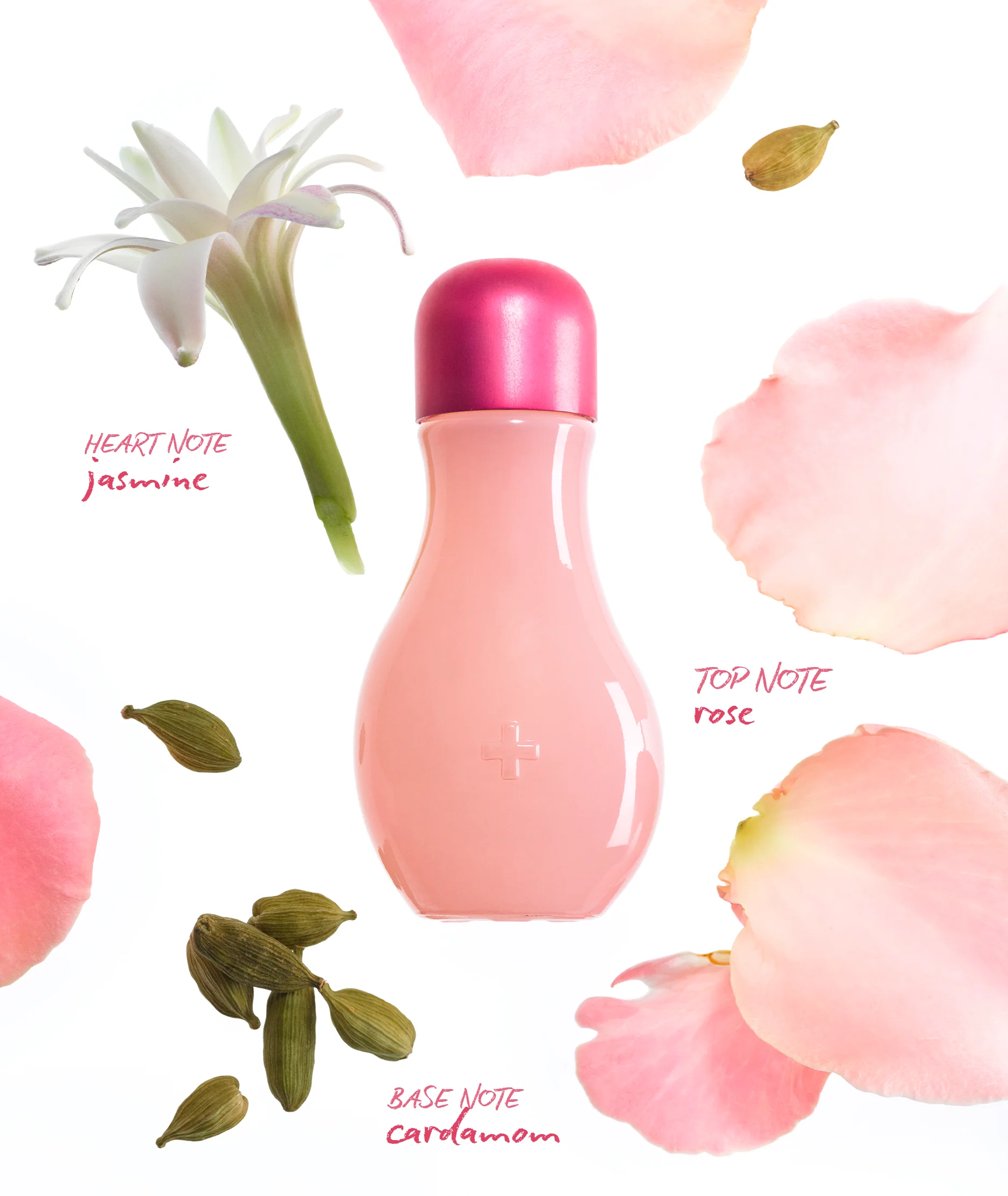 ROSE DROPS - Image 3
