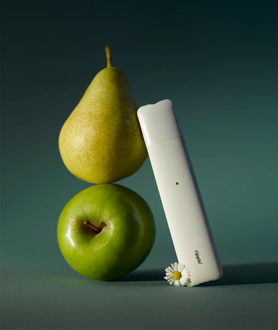 ROYAL POD SET - Image 6